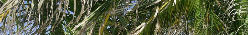 The Ullage Group header image 3